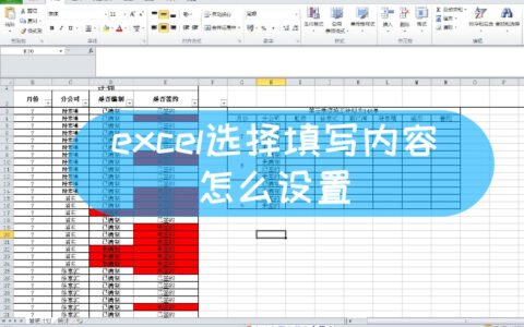 excel选择填写内容怎么设置