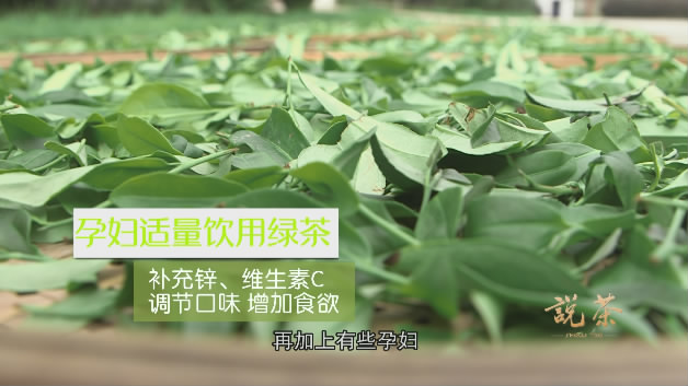 孕妇可以喝什么茶-孕妇适量饮用绿茶