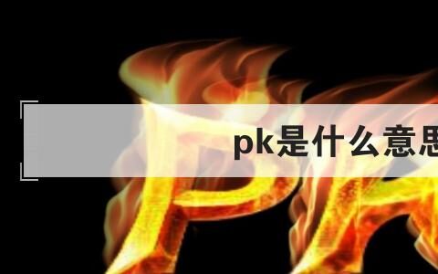 pk是什么意思