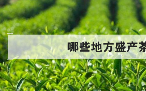 哪些地方盛产茶叶