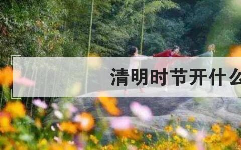 清明时节开什么花(附2023年最新排行榜前十名单)