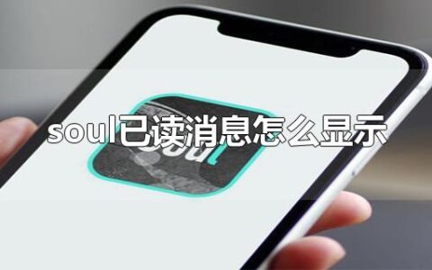 soul已读消息怎么显示 soul怎么看消息是否已读