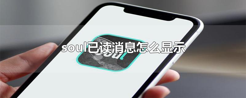 soul已读消息怎么显示 soul怎么看消息是否已读