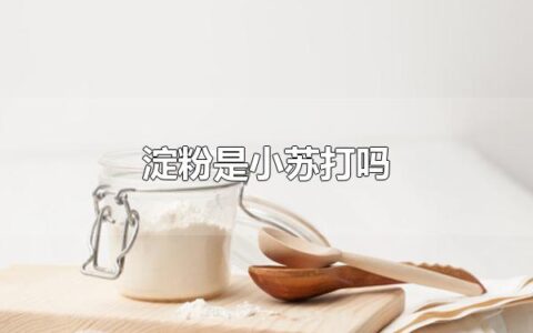 淀粉是小苏打吗 淀粉和小苏打有什么区别