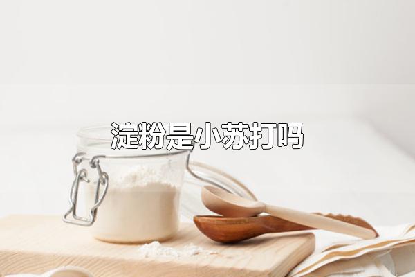 淀粉是小苏打吗 淀粉和小苏打有什么区别