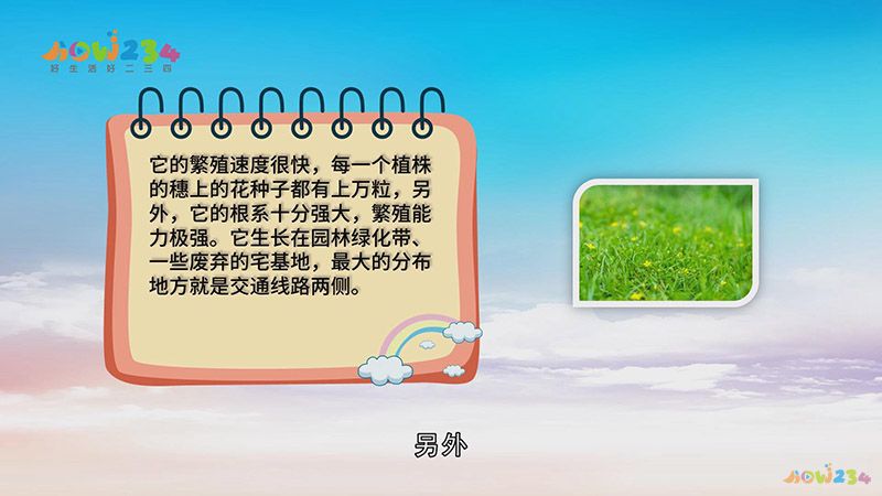 为什么要铲除一枝黄花（一枝黄花有什么危害）