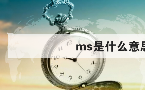 ms是什么意思