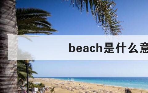 beach是什么意思