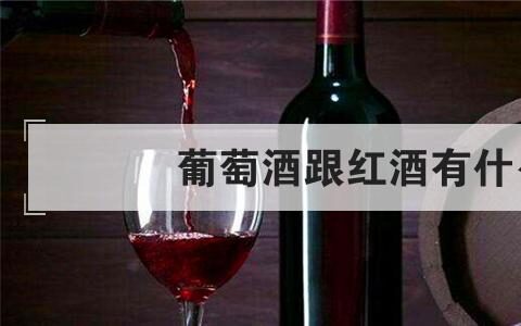 葡萄酒跟红酒有什么区别