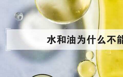 水和油为什么不能融合