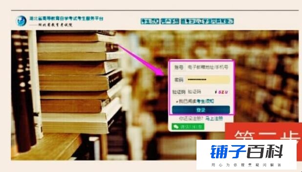 自学网成绩如何查询