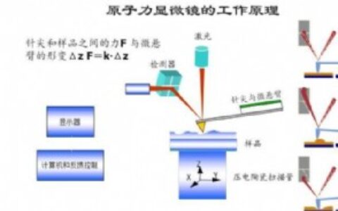 显微镜的工作原理是什么