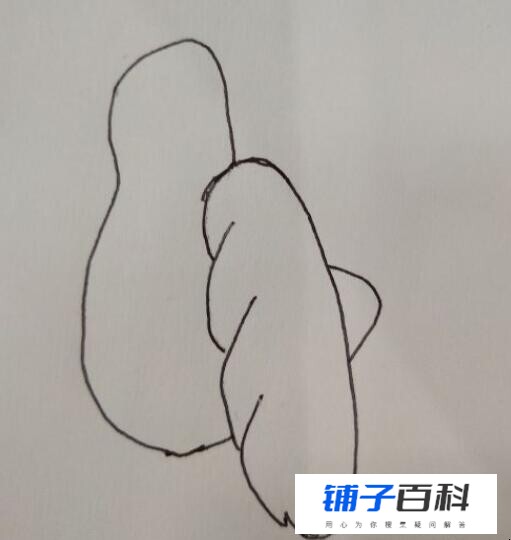 喜鹊简笔画怎么画