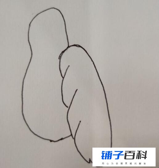 喜鹊简笔画怎么画