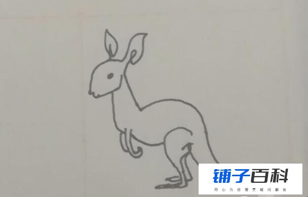 小袋鼠简笔画怎么画