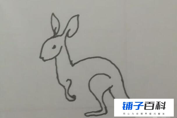 小袋鼠简笔画怎么画