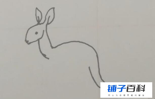 小袋鼠简笔画怎么画