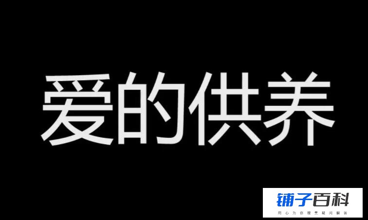 《爱的供养》是哪部电视剧的主题曲