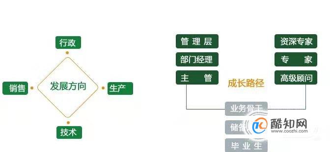 员工职业期望怎么写