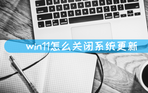 win11怎么关闭系统更新