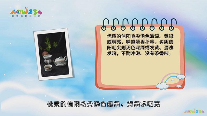 信阳毛尖属于什么茶(信阳毛尖属于什么茶有什么功效)