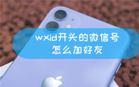 wxid开头的微信号怎么加好友