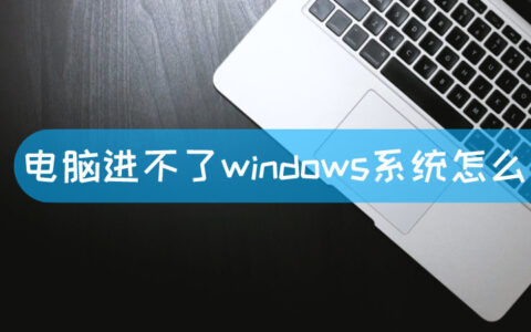 电脑进不了windows系统怎么办