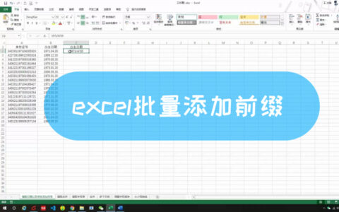 excel批量添加前缀