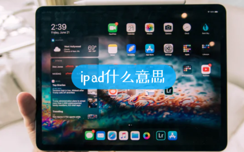 ipad什么意思