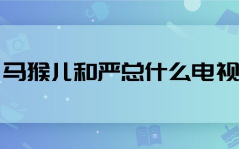 马猴儿和严总什么电视 马猴儿严总哪部电视剧