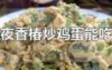 隔夜的香椿炒鸡蛋还能不能吃