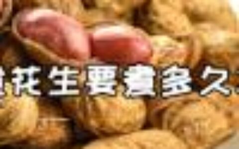 面粉可以代替低筋面粉吗