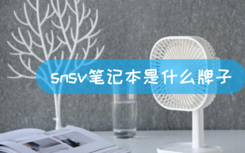 snsv笔记本是什么牌子