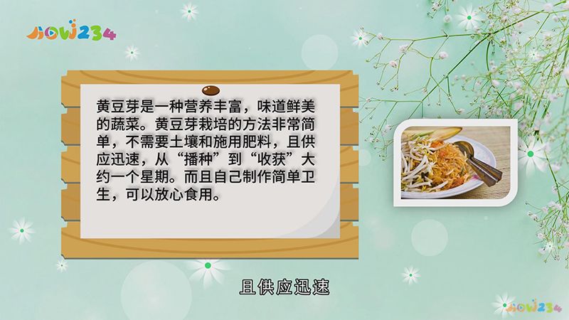 怎么生黄豆芽(自己在家怎么生黄豆芽)