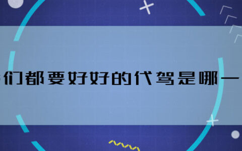 我们都要好好的代驾是哪一集 我们都要好好的代驾哪集播的