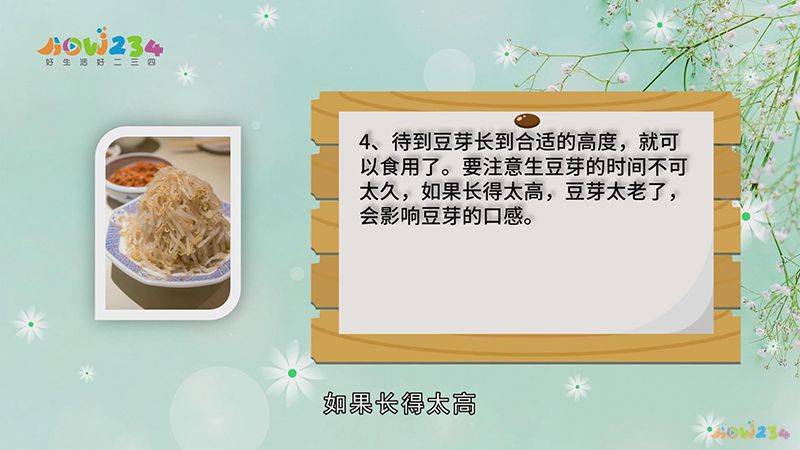 怎么生黄豆芽(自己在家怎么生黄豆芽)