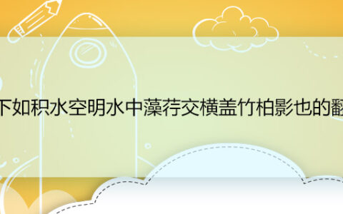 庭下如积水空明水中藻荇交横盖竹柏影也的翻译 庭下如积水空明水中藻荇交横盖竹柏影也的翻译是什么