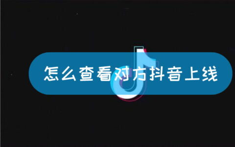 怎么查看对方抖音上线