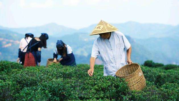 靠山吃山靠海吃海的理解