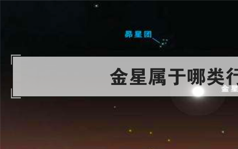 金星属于哪类行星