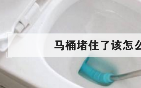 马桶堵住了该怎么疏通