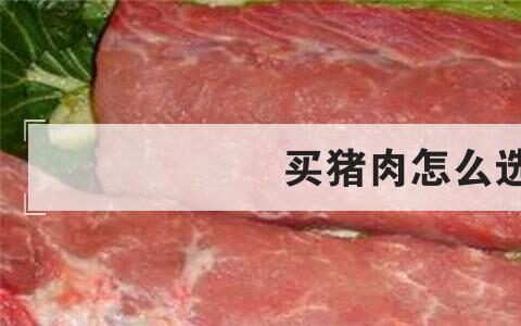 买猪肉怎么选