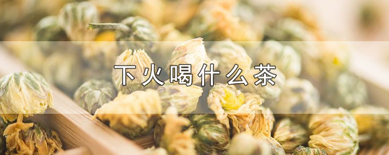 下火喝什么茶