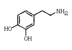 接吻是有技巧的，满满的干货