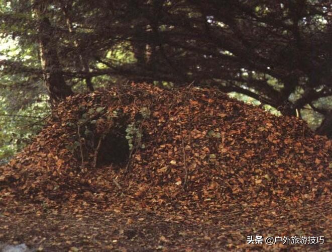 全世界土著民族是如何搭建草棚庇护所的？-草棚庇护所搭建技巧