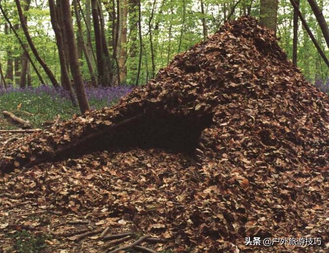 全世界土著民族是如何搭建草棚庇护所的？-草棚庇护所搭建技巧