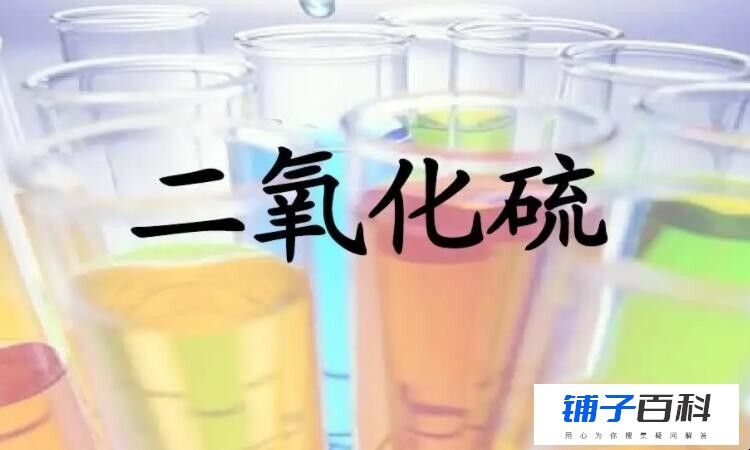 二氧化硫和水反应生成什么