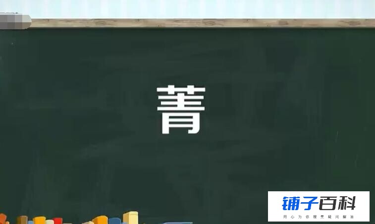 草字头加青是什么字