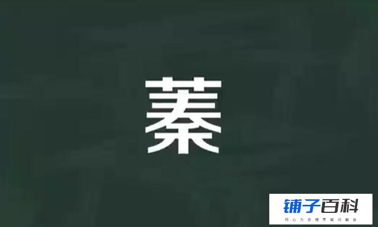 草字头加秦是什么字