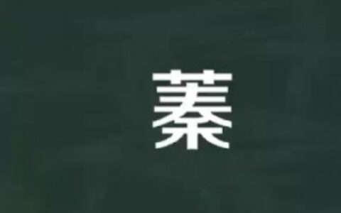 草字头加秦是什么字